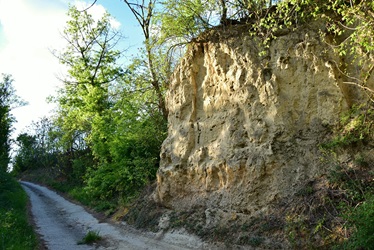 Loesswand
